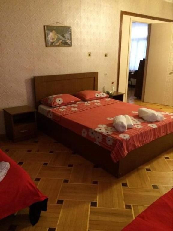 Гостевой дом Guesthouse Raisa Кварели-51