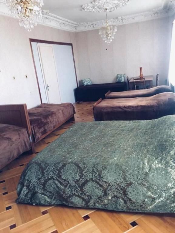 Гостевой дом Guesthouse Raisa Кварели-60